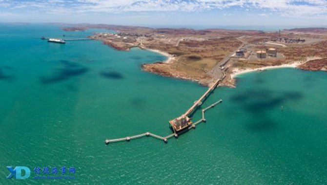 首杀率与残 首杀率与残