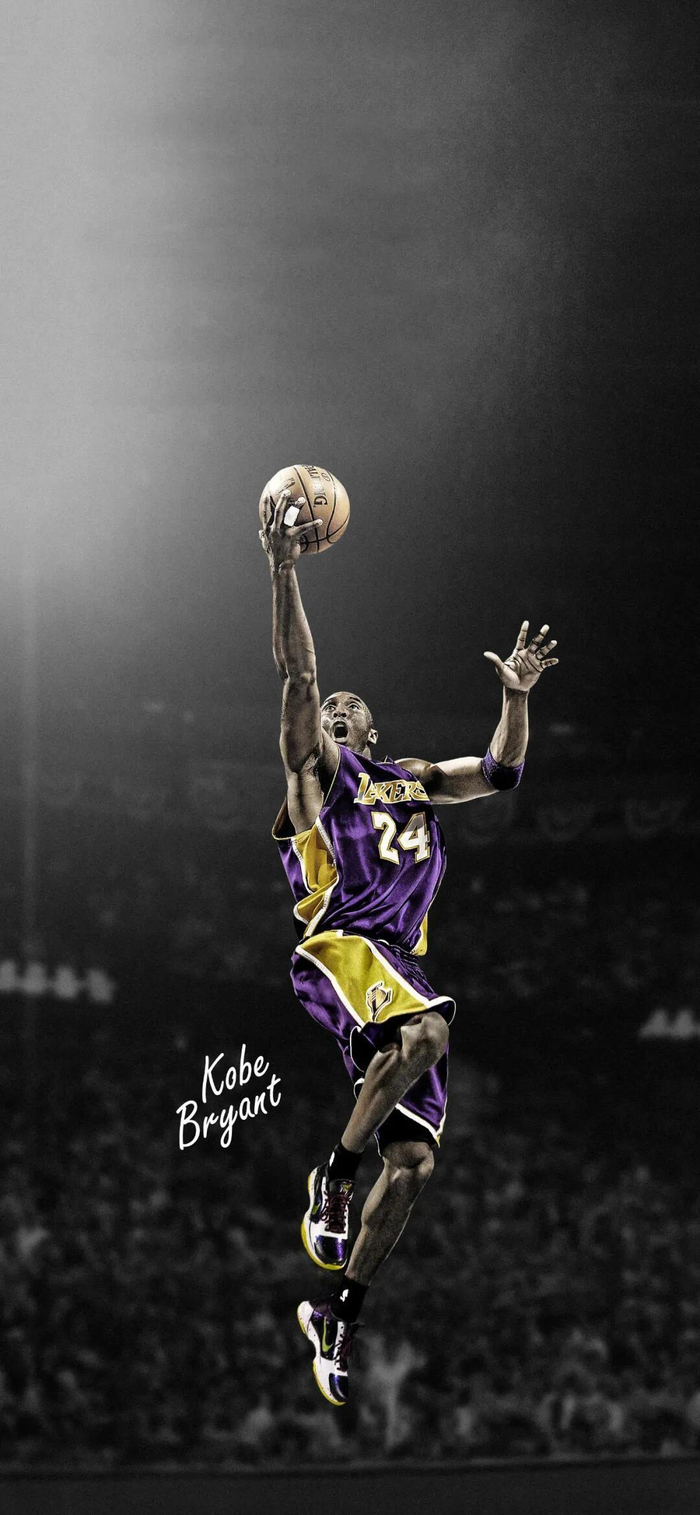 对观众与品 对观众与品