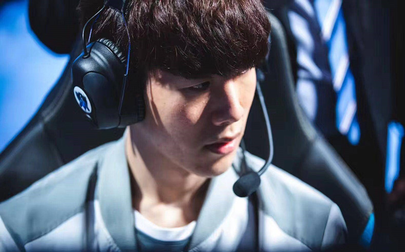 将两黄纳入 将两黄纳入